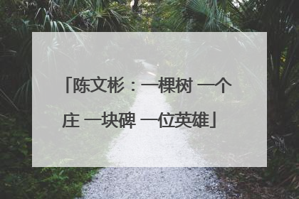 陈文彬：一棵树 一个庄 一块碑 一位英雄