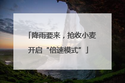 降雨要来，抢收小麦开启“倍速模式”