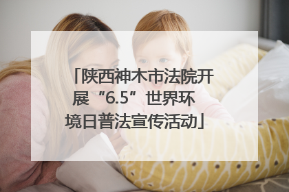 陕西神木市法院开展“6.5”世界环境日普法宣传活动