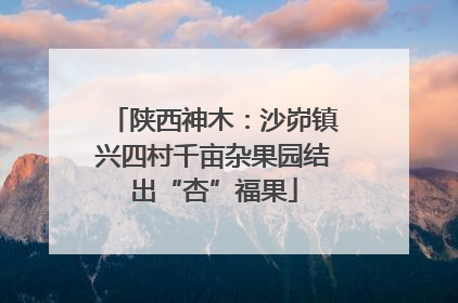 陕西神木：沙峁镇兴四村千亩杂果园结出“杏”福果