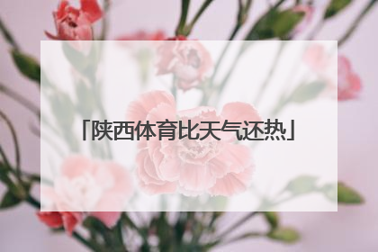 陕西体育比天气还热