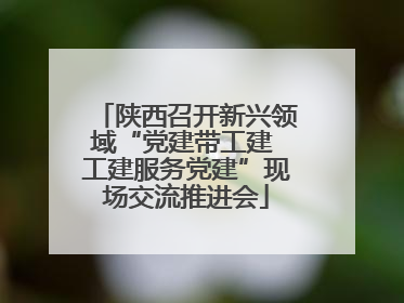 陕西召开新兴领域“党建带工建 工建服务党建”现场交流推进会