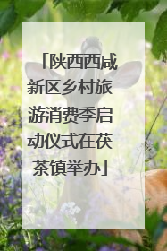 陕西西咸新区乡村旅游消费季启动仪式在茯茶镇举办