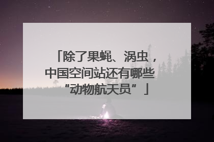 除了果蝇、涡虫，中国空间站还有哪些“动物航天员”