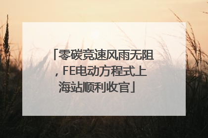 零碳竞速风雨无阻，FE电动方程式上海站顺利收官