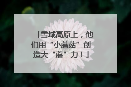 雪域高原上，他们用“小蘑菇”创造大“蘑”力！