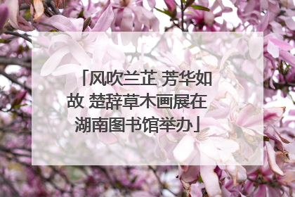 风吹兰芷 芳华如故 楚辞草木画展在湖南图书馆举办