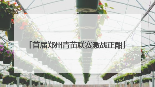 首届郑州青苗联赛激战正酣