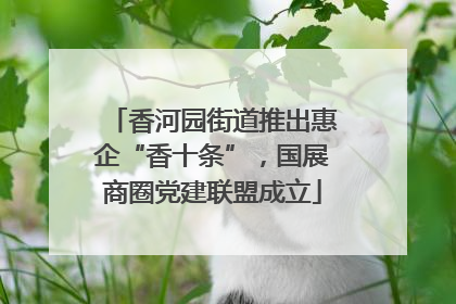 香河园街道推出惠企“香十条”，国展商圈党建联盟成立