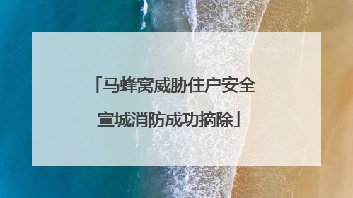 马蜂窝威胁住户安全 宣城消防成功摘除