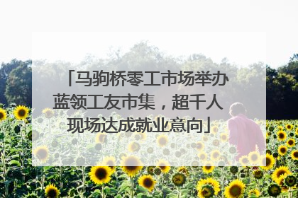 马驹桥零工市场举办蓝领工友市集，超千人现场达成就业意向