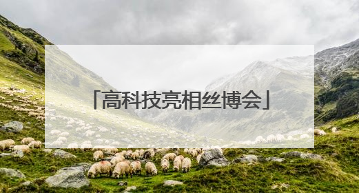高科技亮相丝博会