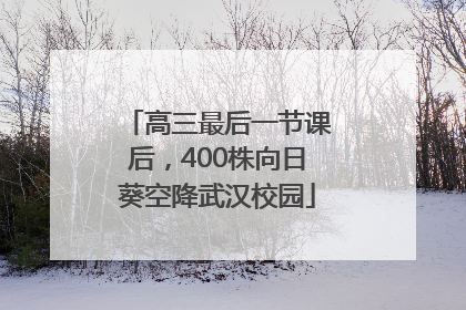 高三最后一节课后，400株向日葵空降武汉校园