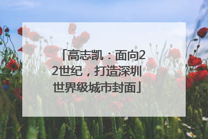 高志凯：面向22世纪，打造深圳世界级城市封面