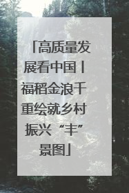 高质量发展看中国丨福稻金浪千重绘就乡村振兴“丰”景图