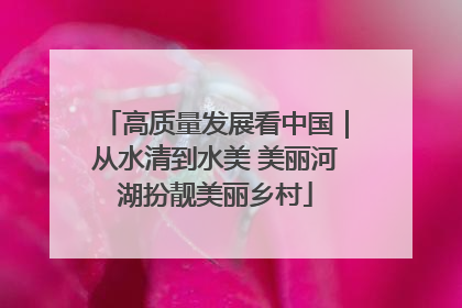 高质量发展看中国｜从水清到水美 美丽河湖扮靓美丽乡村