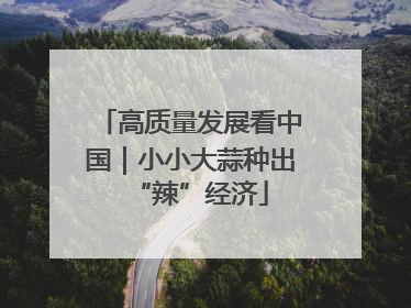 高质量发展看中国｜小小大蒜种出“辣”经济