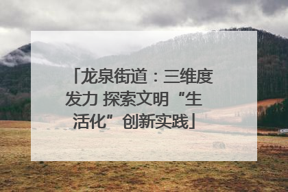 龙泉街道：三维度发力 探索文明“生活化”创新实践