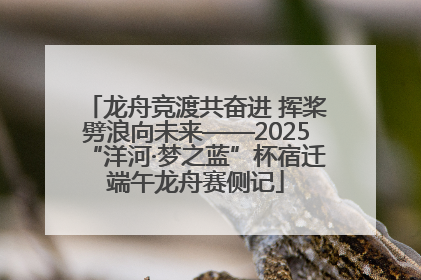 龙舟竞渡共奋进 挥桨劈浪向未来——2025“洋河·梦之蓝”杯宿迁端午龙舟赛侧记
