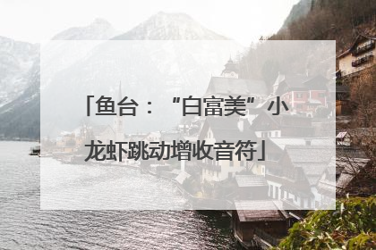 鱼台：“白富美”小龙虾跳动增收音符