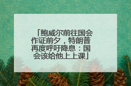 鲍威尔前往国会作证前夕，特朗普再度呼吁降息：国会该给他上上课