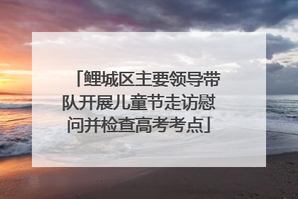 鲤城区主要领导带队开展儿童节走访慰问并检查高考考点