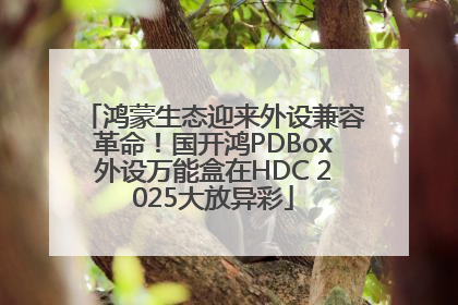 鸿蒙生态迎来外设兼容革命！国开鸿PDBox外设万能盒在HDC 2025大放异彩
