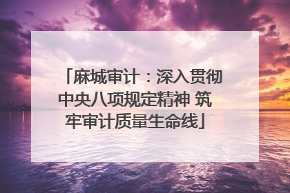 麻城审计：深入贯彻中央八项规定精神 筑牢审计质量生命线