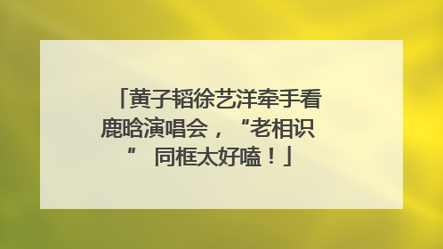 黄子韬徐艺洋牵手看鹿晗演唱会，“老相识” 同框太好嗑！
