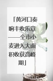 黄河口奏响丰收乐章——全市小麦进入大面积收获高峰期