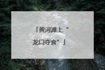 黄河滩上“龙口夺食”