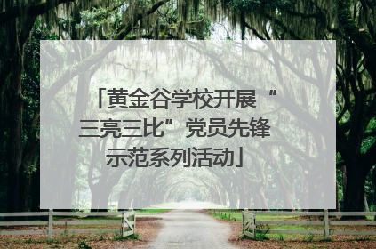 黄金谷学校开展“三亮三比”党员先锋示范系列活动