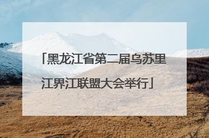 黑龙江省第二届乌苏里江界江联盟大会举行
