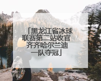 黑龙江省冰球联赛第二站收官 齐齐哈尔兰迪一队夺冠