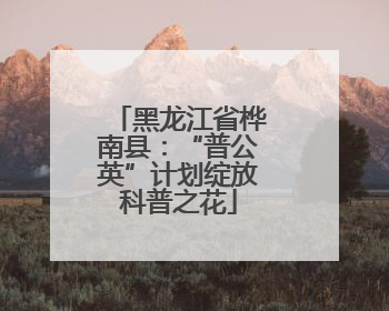 黑龙江省桦南县：“普公英”计划绽放科普之花