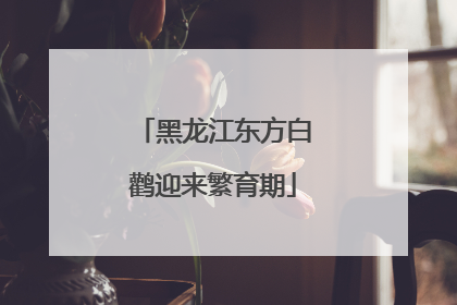 黑龙江东方白鹳迎来繁育期
