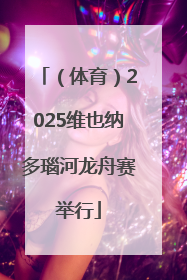 （体育）2025维也纳多瑙河龙舟赛举行
