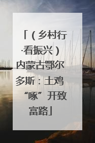（乡村行·看振兴）内蒙古鄂尔多斯：土鸡“啄”开致富路