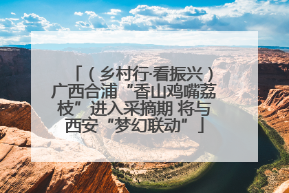 （乡村行·看振兴）广西合浦“香山鸡嘴荔枝”进入采摘期 将与西安“梦幻联动”