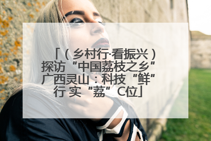 （乡村行·看振兴）探访“中国荔枝之乡”广西灵山：科技“鲜”行 实“荔”C位