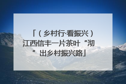 （乡村行·看振兴）江西信丰一片茶叶“沏”出乡村振兴路