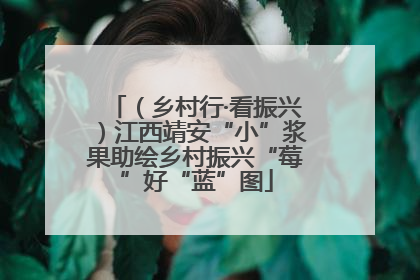 （乡村行·看振兴）江西靖安“小”浆果助绘乡村振兴“莓”好“蓝”图