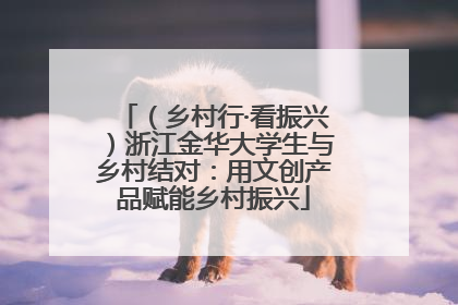 （乡村行·看振兴）浙江金华大学生与乡村结对：用文创产品赋能乡村振兴
