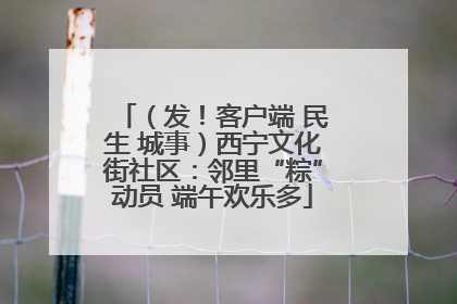 （发！客户端 民生 城事）西宁文化街社区：邻里“粽”动员 端午欢乐多