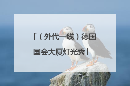 （外代一线）德国国会大厦灯光秀