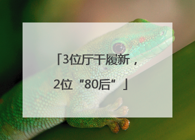3位厅干履新，2位“80后”