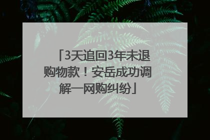 3天追回3年未退购物款！安岳成功调解一网购纠纷
