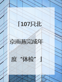 107只北京雨燕完成年度“体检”