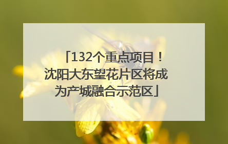 132个重点项目！沈阳大东望花片区将成为产城融合示范区