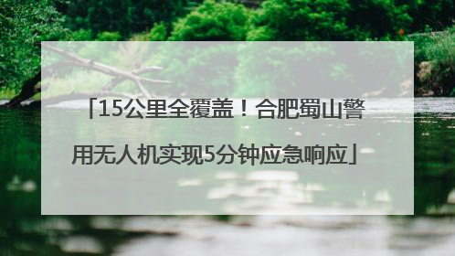 15公里全覆盖！合肥蜀山警用无人机实现5分钟应急响应